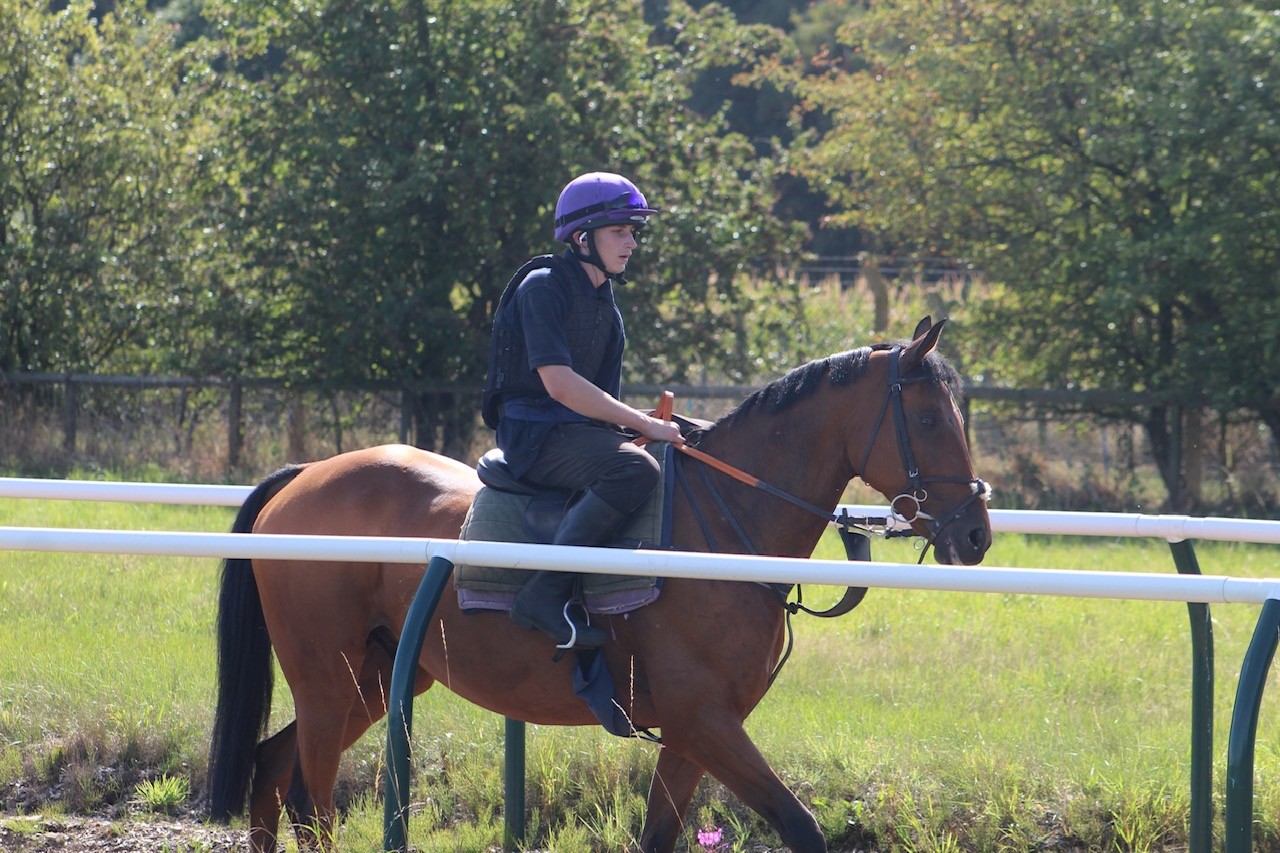 Mon Palois (Monty)